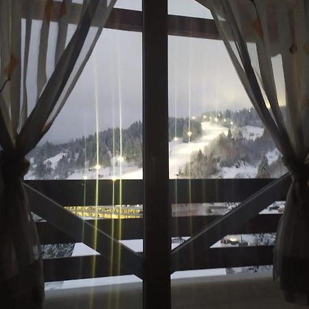 Pensiunea 3Flori De Colt Hotel Statjunea Borsa Bagian luar foto