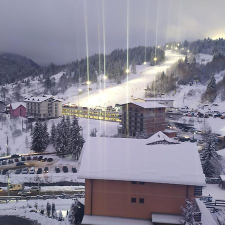 Pensiunea 3Flori De Colt Hotel Statjunea Borsa Bagian luar foto