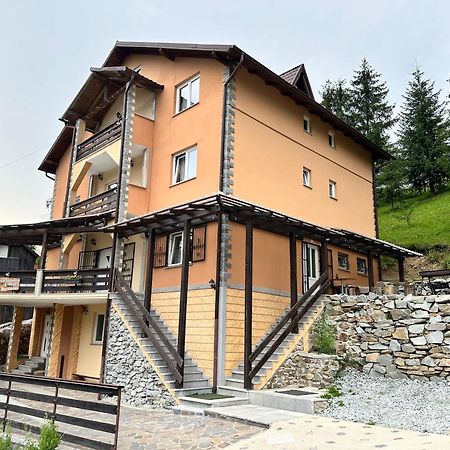 Pensiunea 3Flori De Colt Hotel Statjunea Borsa Bagian luar foto