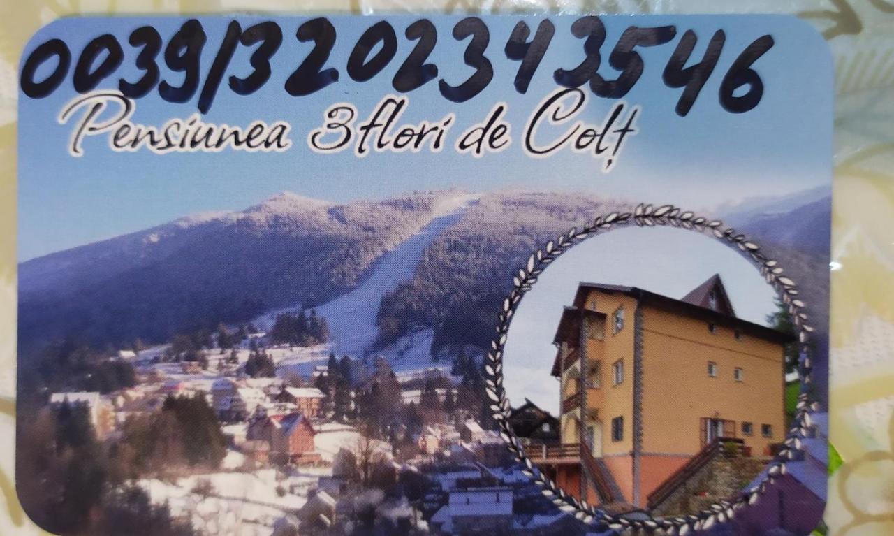 Pensiunea 3Flori De Colt Hotel Statjunea Borsa Bagian luar foto