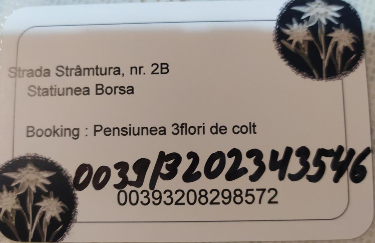 Pensiunea 3Flori De Colt Hotel Statjunea Borsa Bagian luar foto
