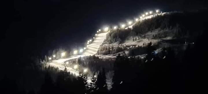Pensiunea 3Flori De Colt Hotel Statjunea Borsa Bagian luar foto