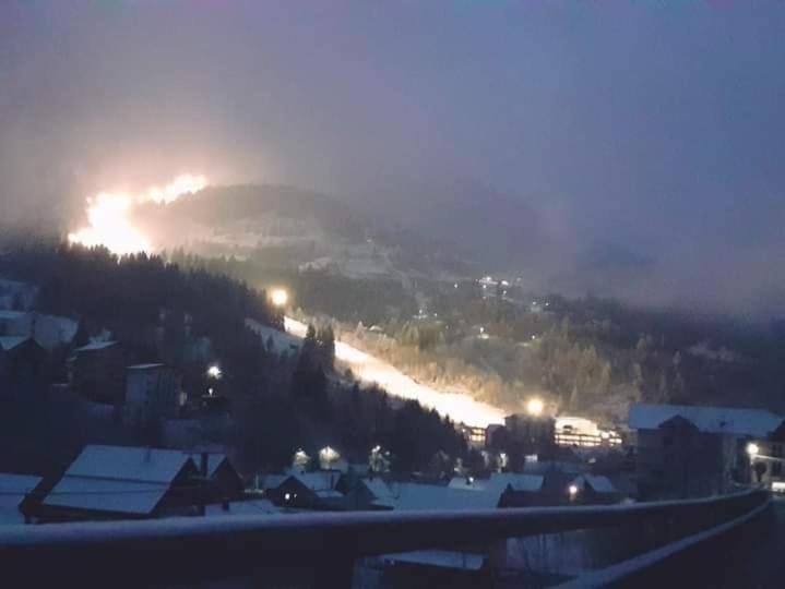 Pensiunea 3Flori De Colt Hotel Statjunea Borsa Bagian luar foto