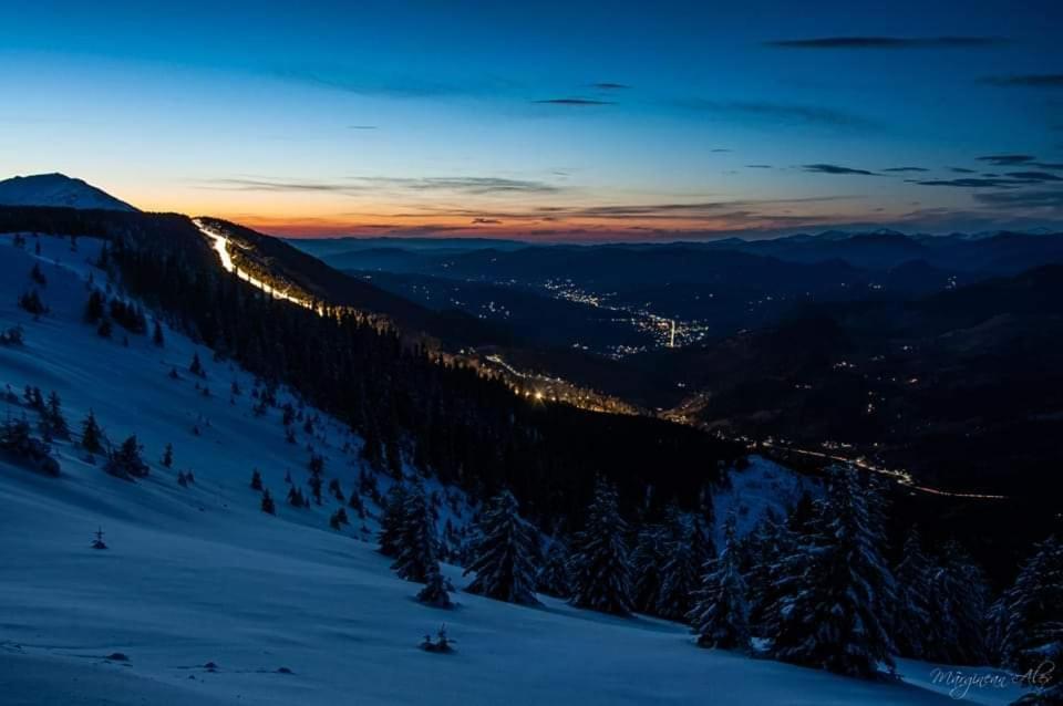 Pensiunea 3Flori De Colt Hotel Statjunea Borsa Bagian luar foto