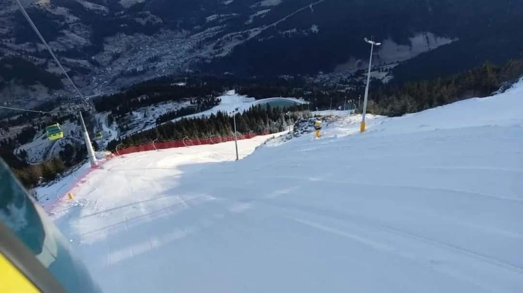 Pensiunea 3Flori De Colt Hotel Statjunea Borsa Bagian luar foto