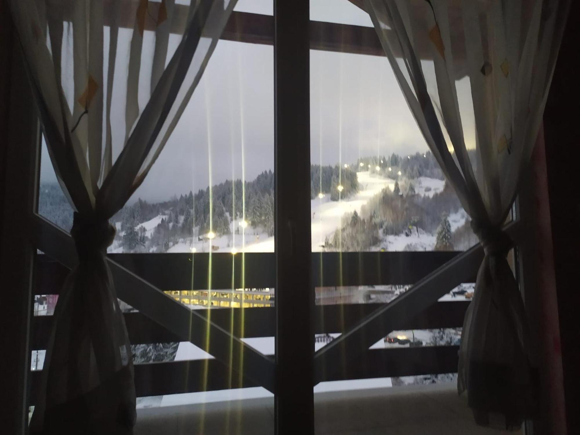Pensiunea 3Flori De Colt Hotel Statjunea Borsa Bagian luar foto