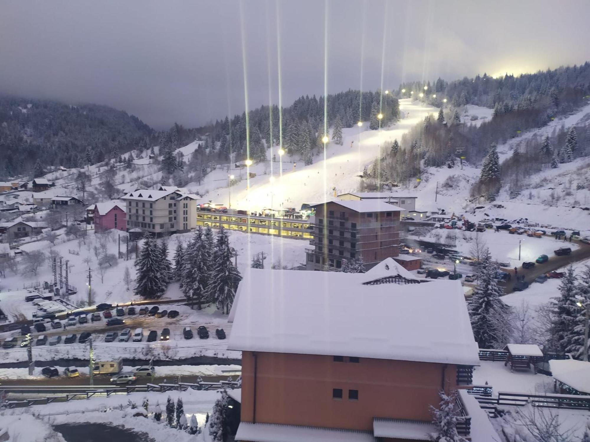Pensiunea 3Flori De Colt Hotel Statjunea Borsa Bagian luar foto