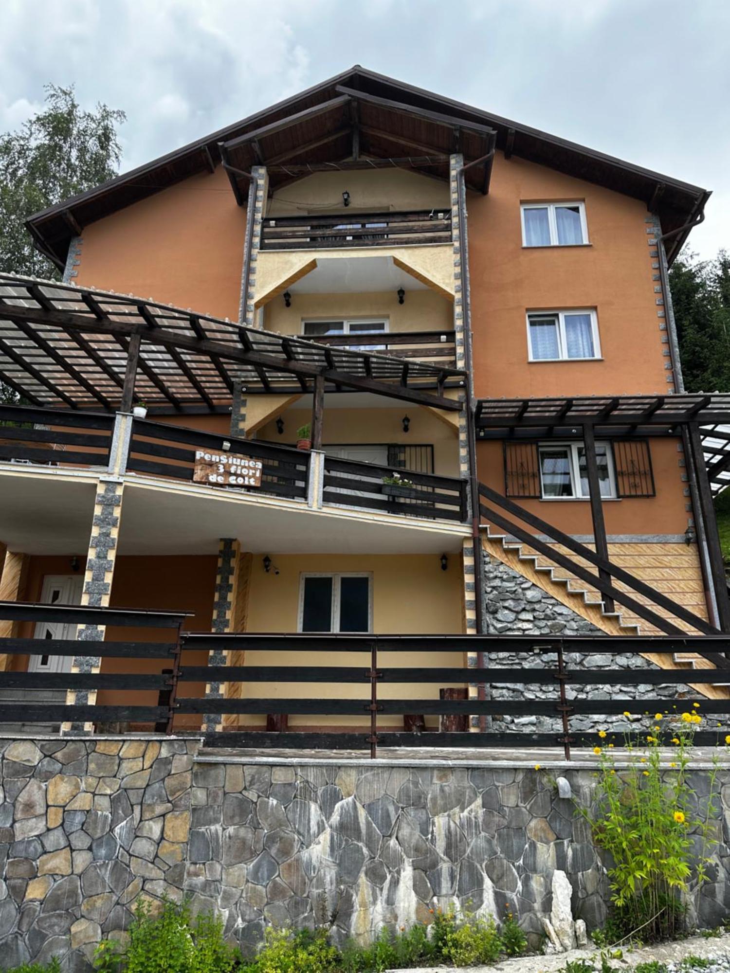 Pensiunea 3Flori De Colt Hotel Statjunea Borsa Bagian luar foto