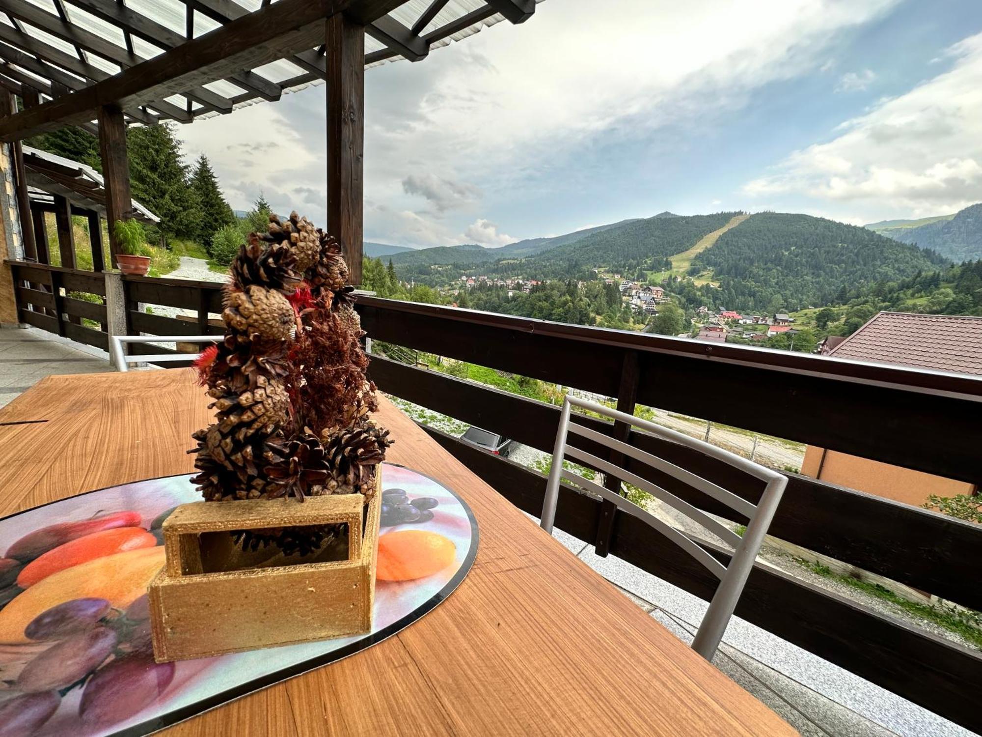 Pensiunea 3Flori De Colt Hotel Statjunea Borsa Bagian luar foto