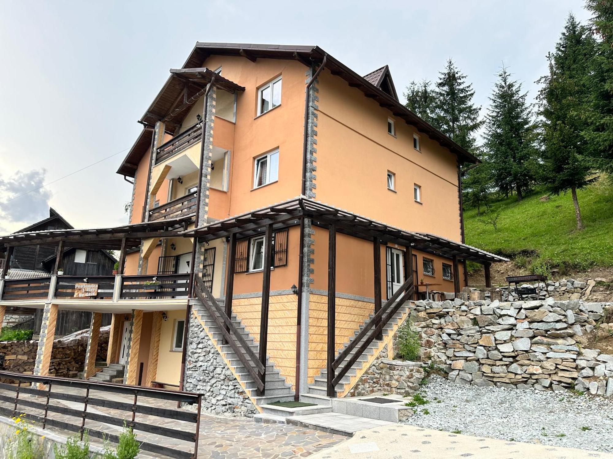 Pensiunea 3Flori De Colt Hotel Statjunea Borsa Bagian luar foto