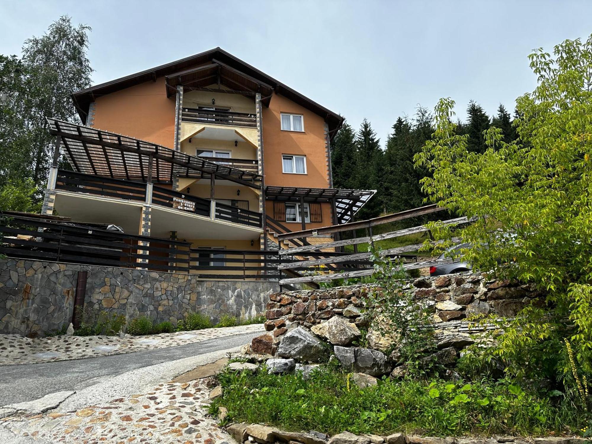 Pensiunea 3Flori De Colt Hotel Statjunea Borsa Bagian luar foto